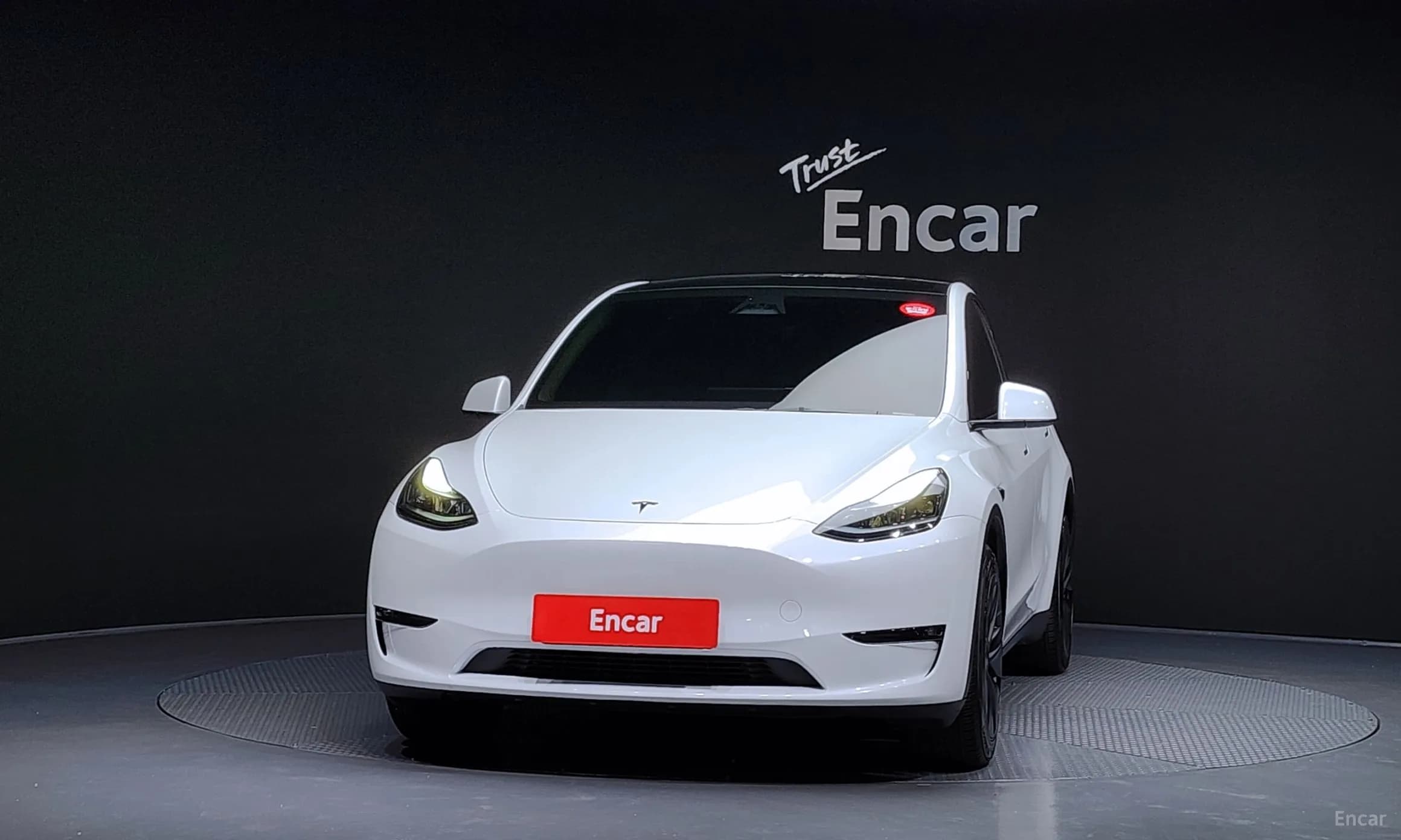 Model Y