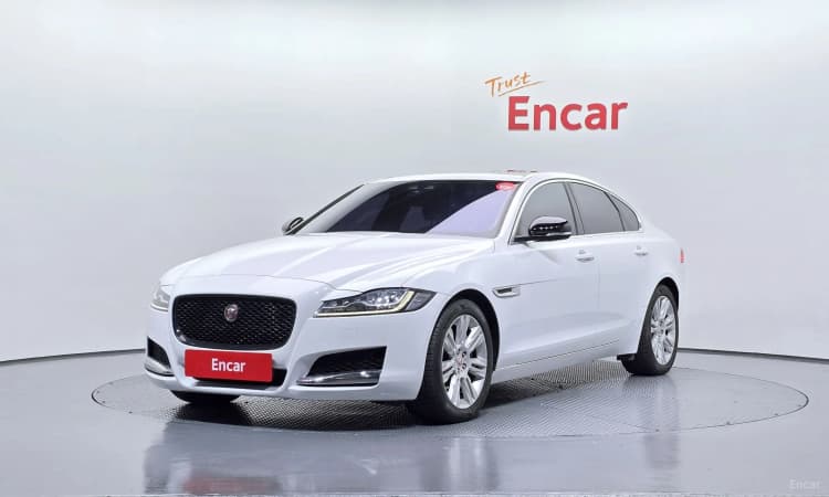 XF (x260)
