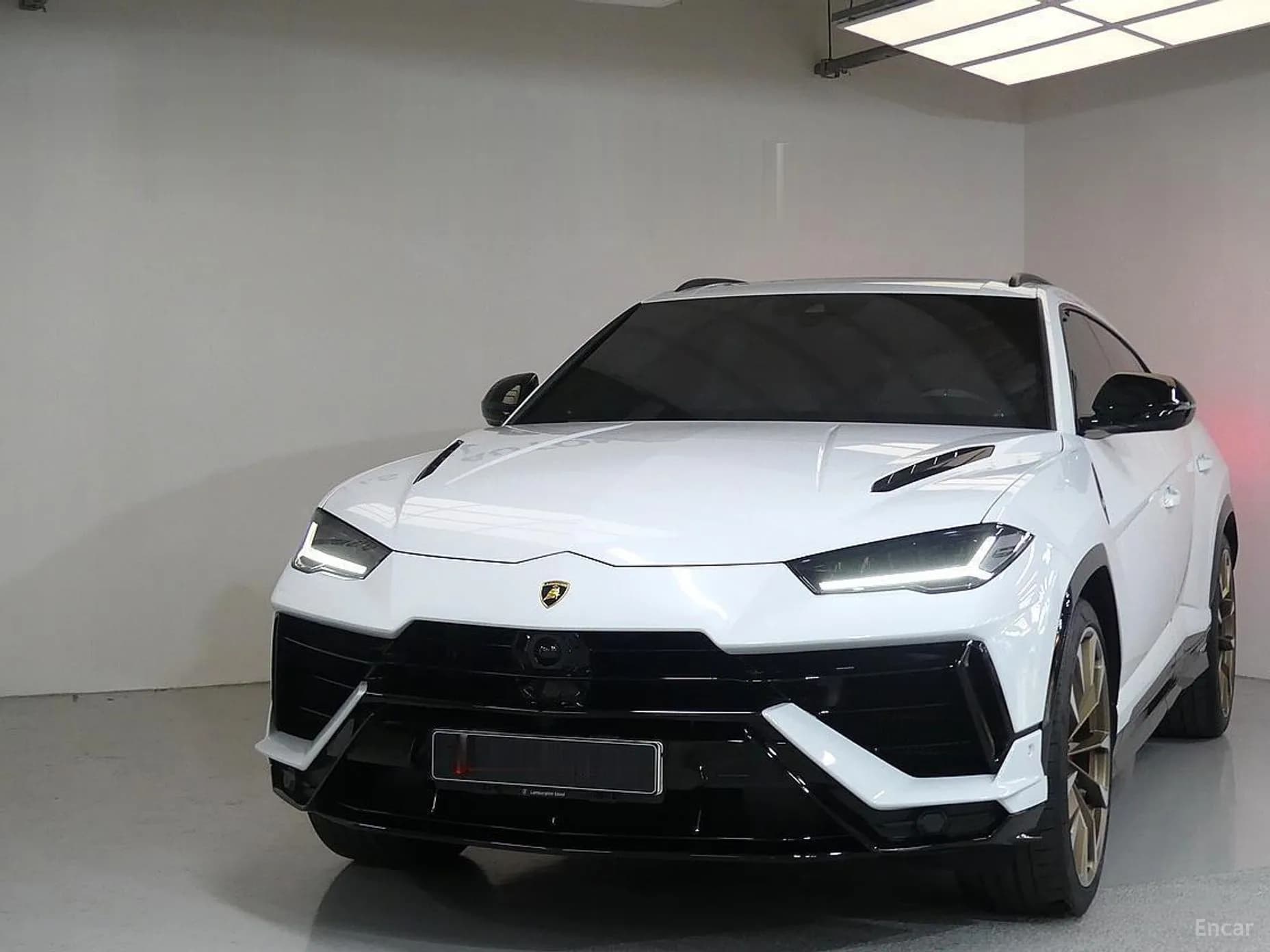 Urus