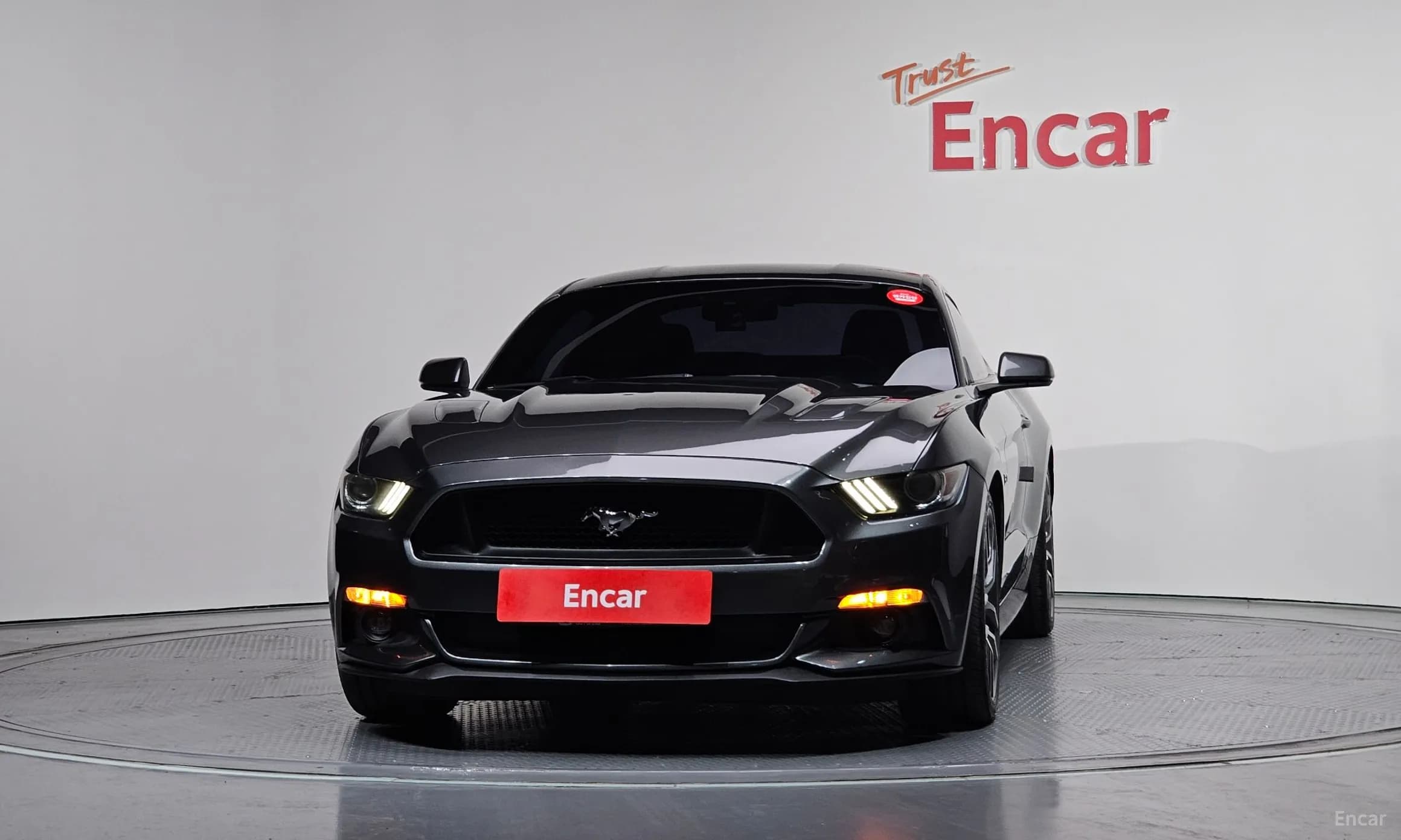 Mustang