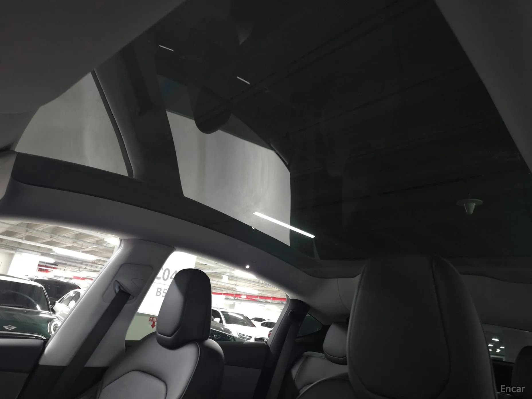 Model Y