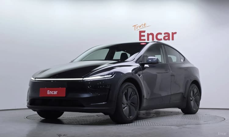 Model Y