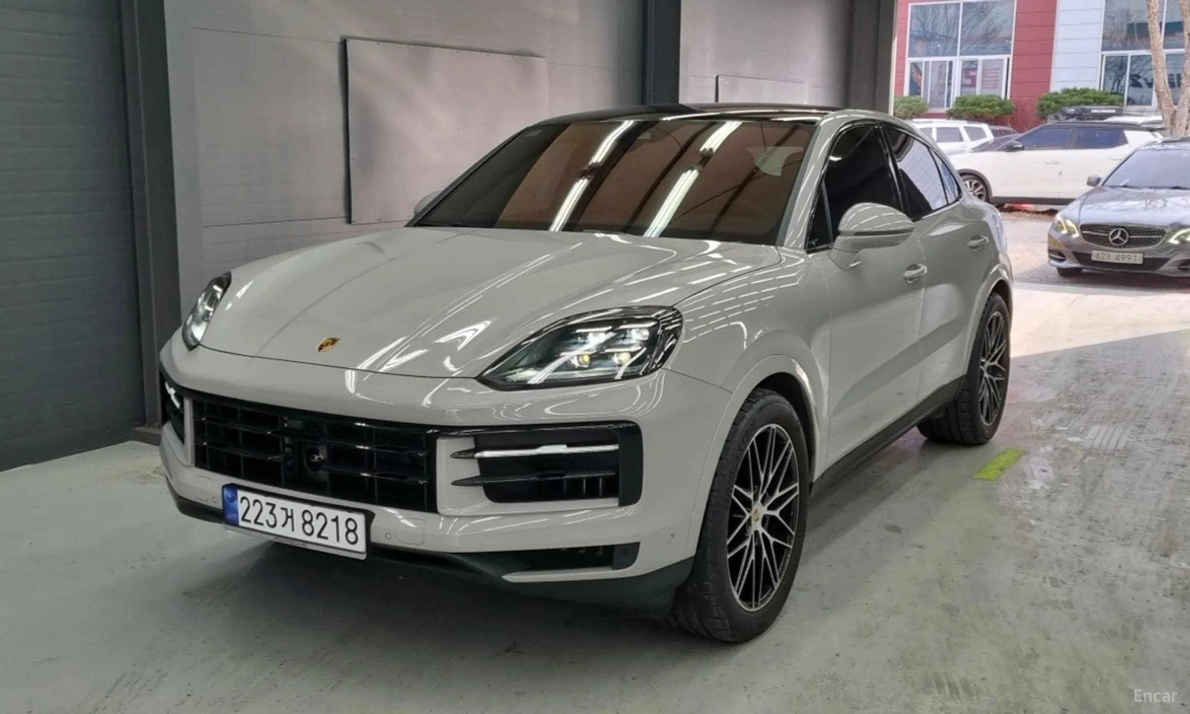 Cayenne (PO536)