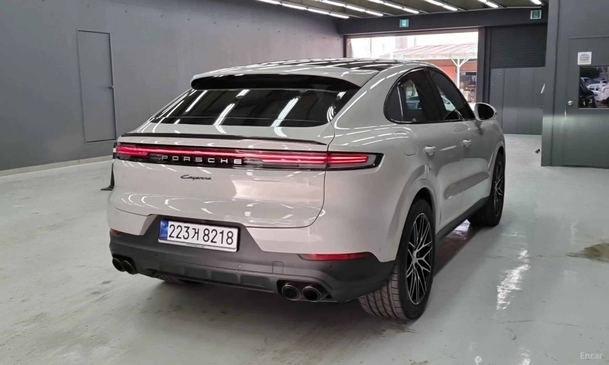 Cayenne (PO536)