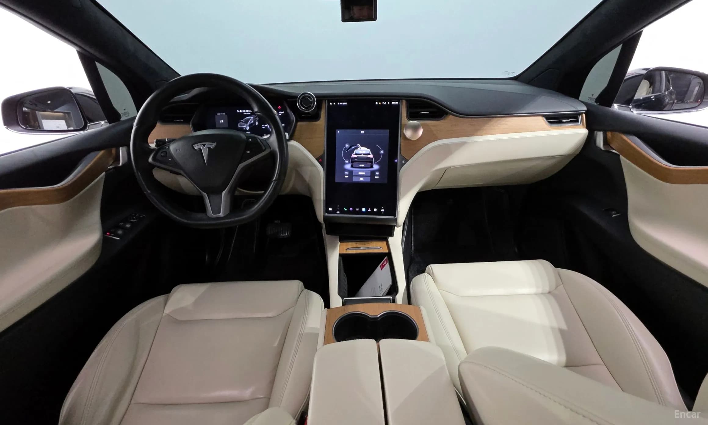 Model X