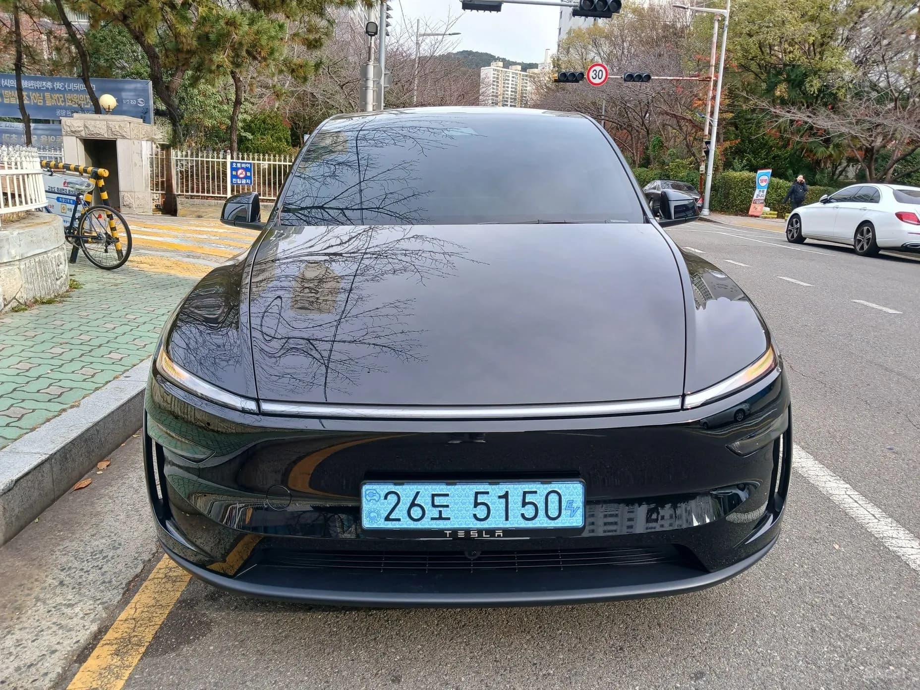 Model Y
