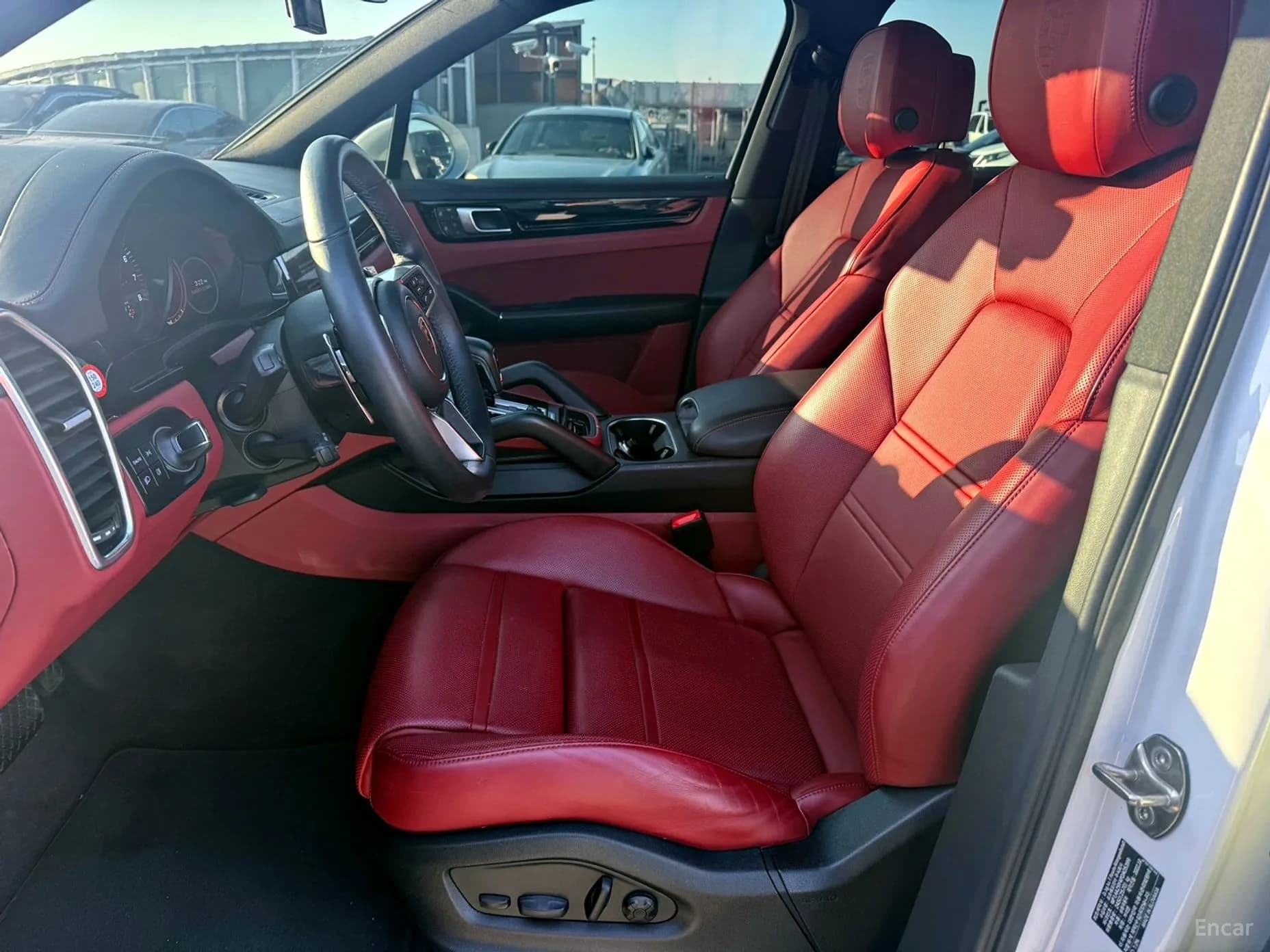 Cayenne (PO536)