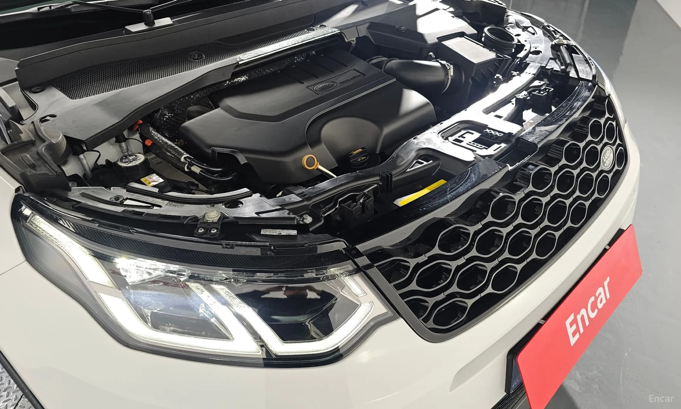 Discovery Sports