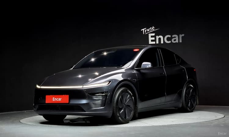 Model Y