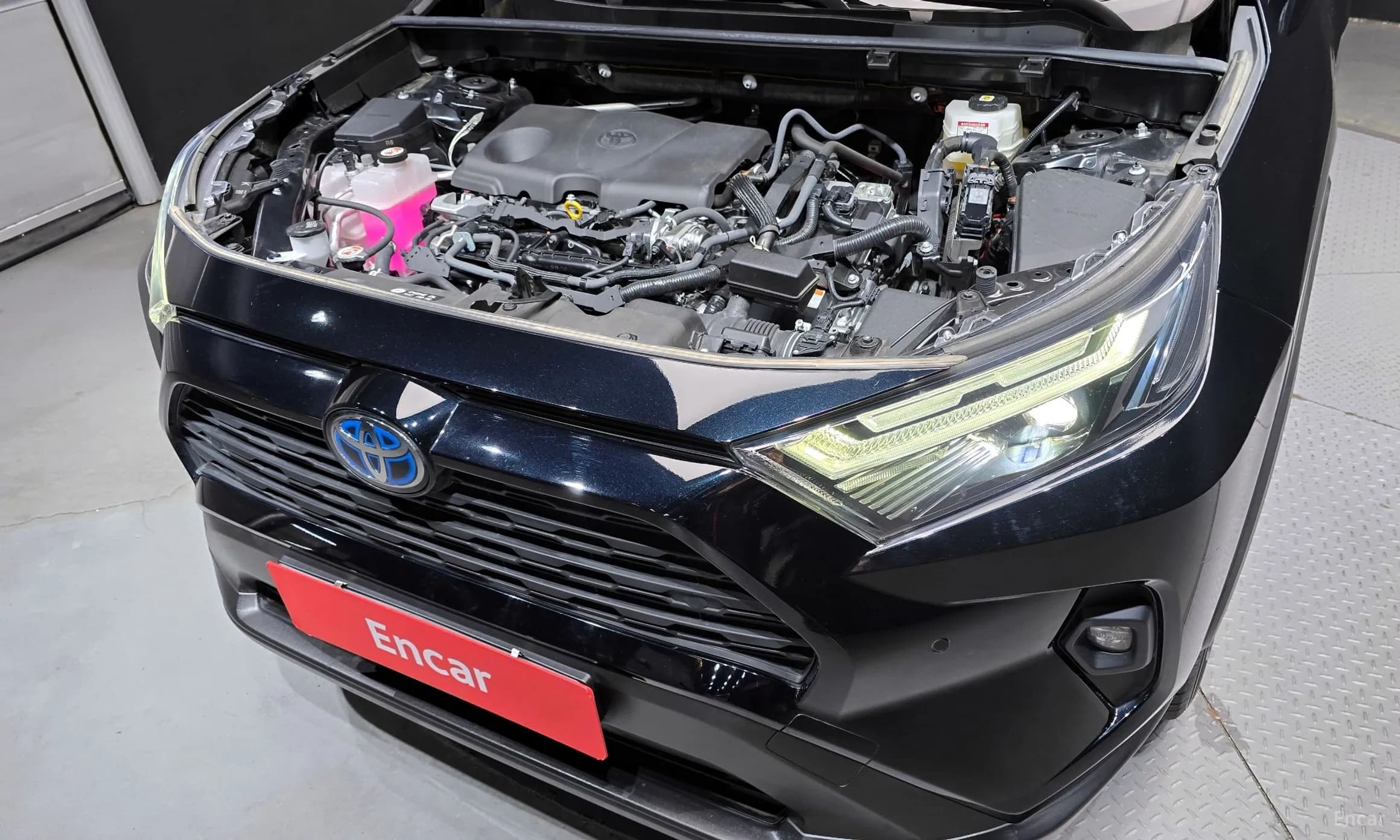 RAV4 5th Generation