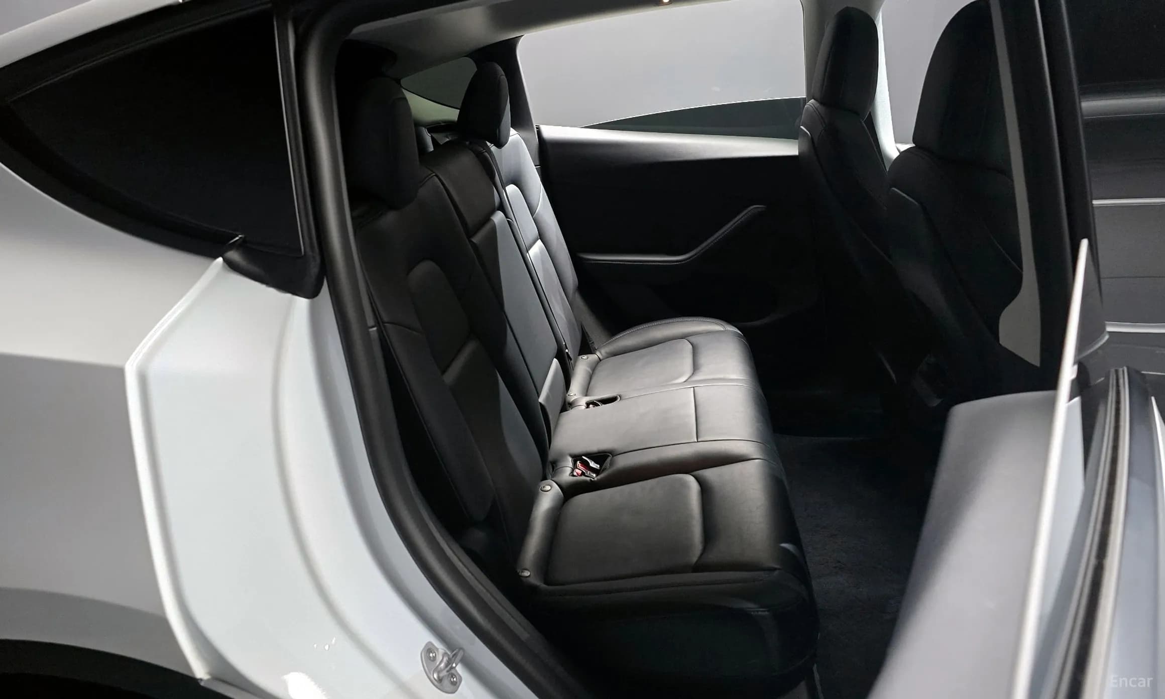 Model Y