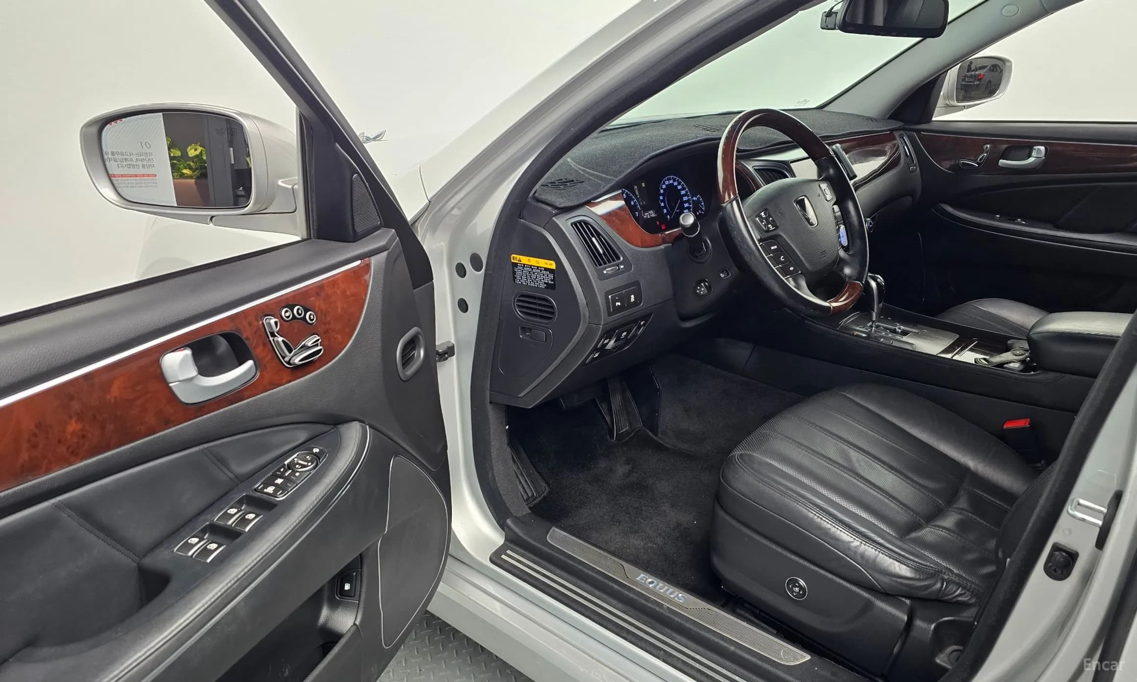 Equus (new)