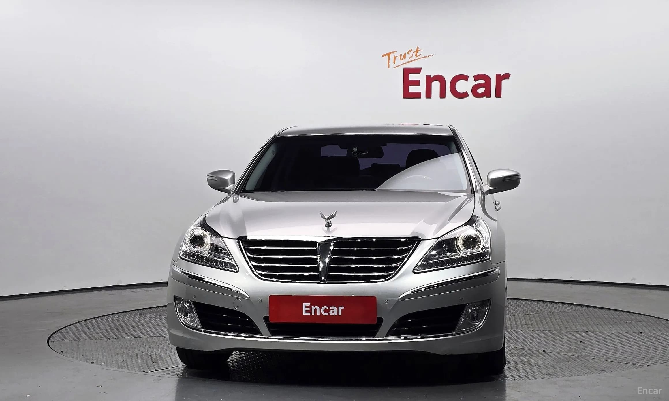 Equus (new)