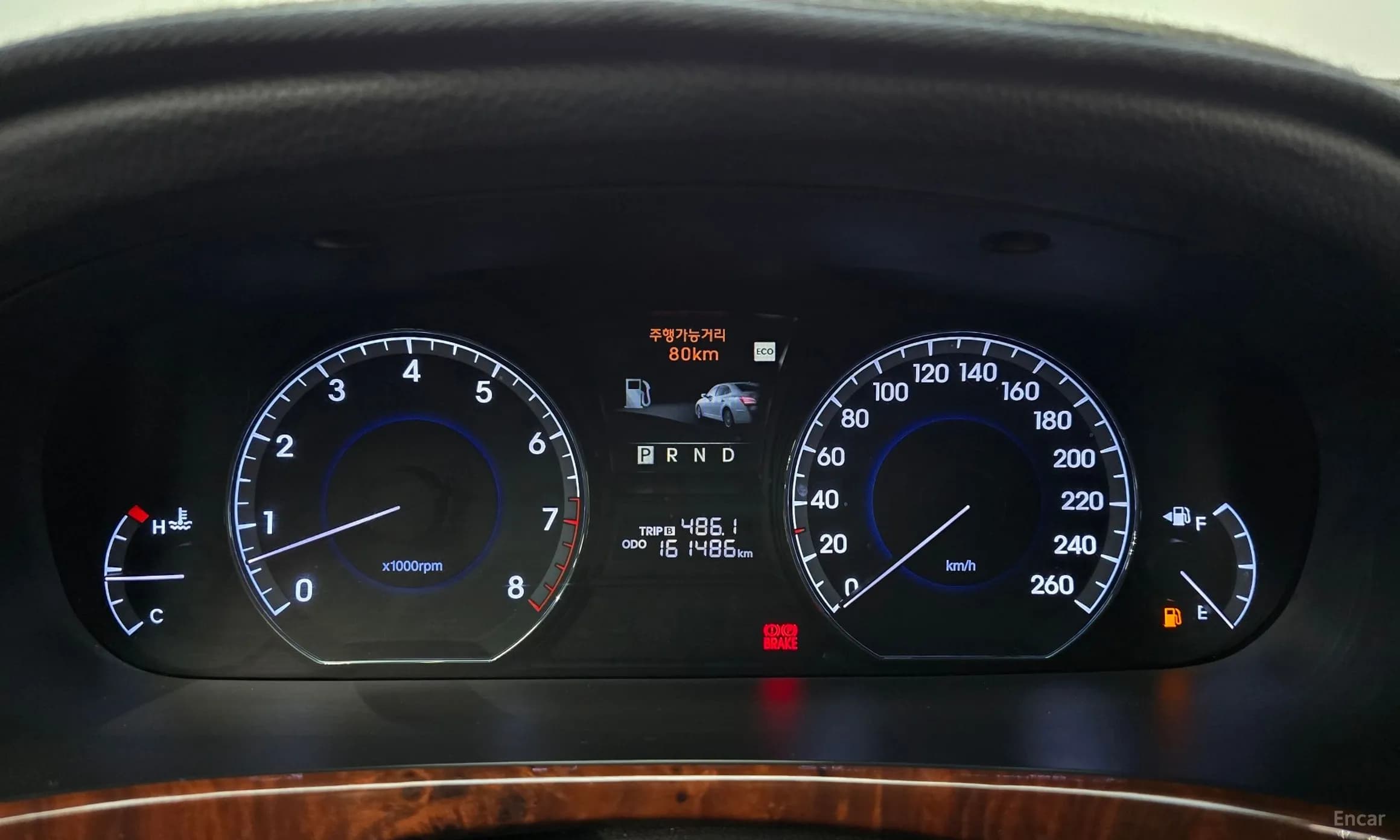 Equus (new)