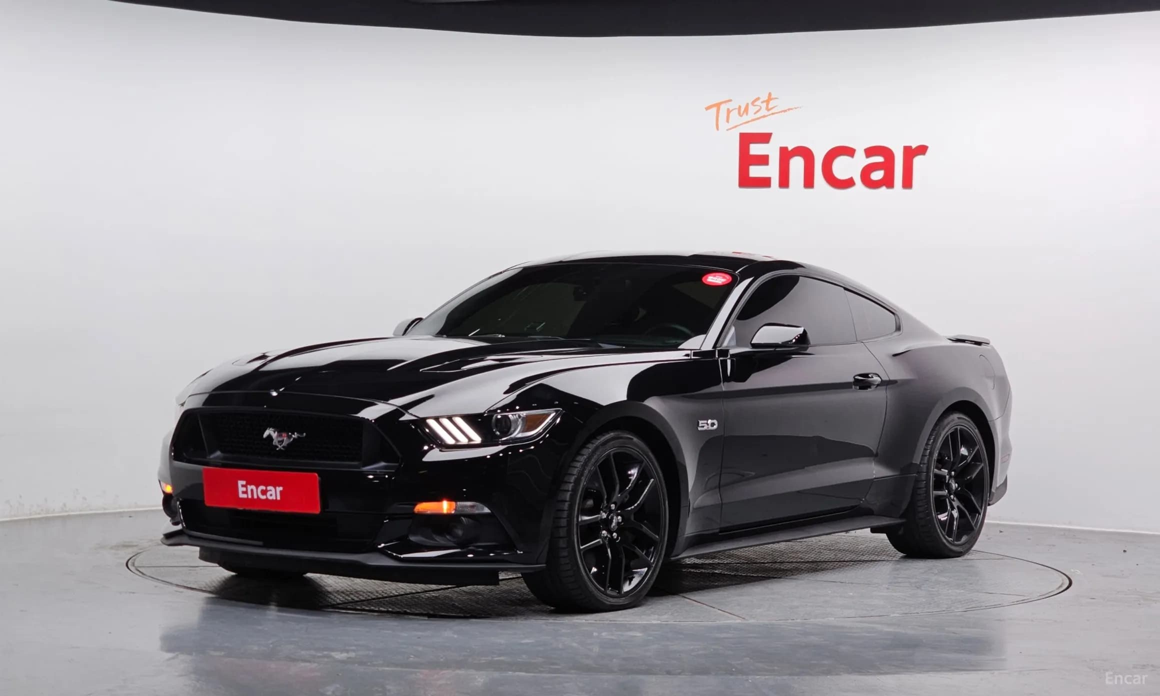 Mustang