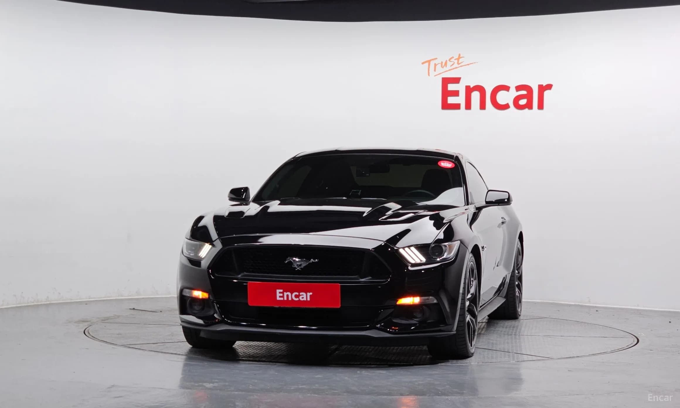 Mustang