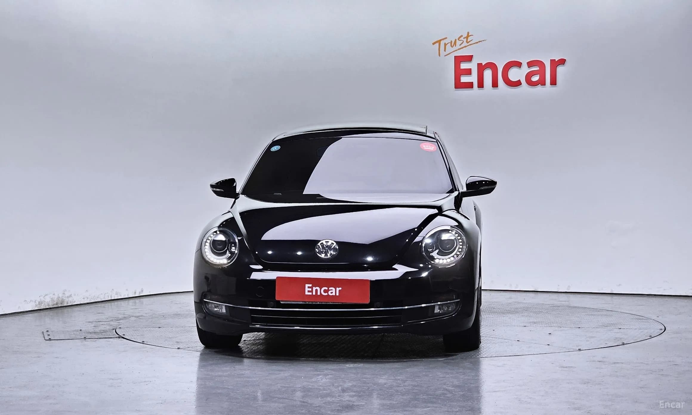 The Beetle