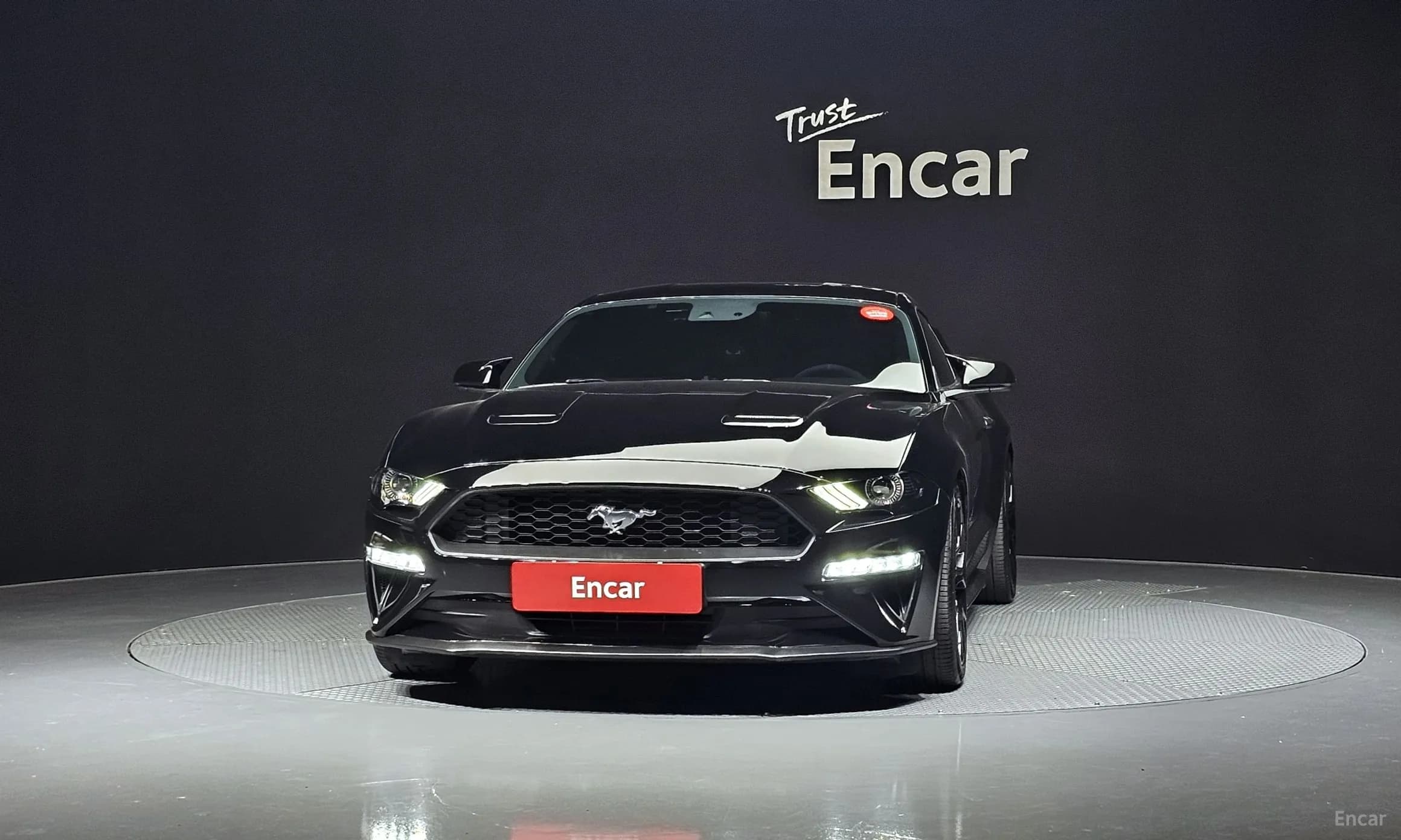 Mustang