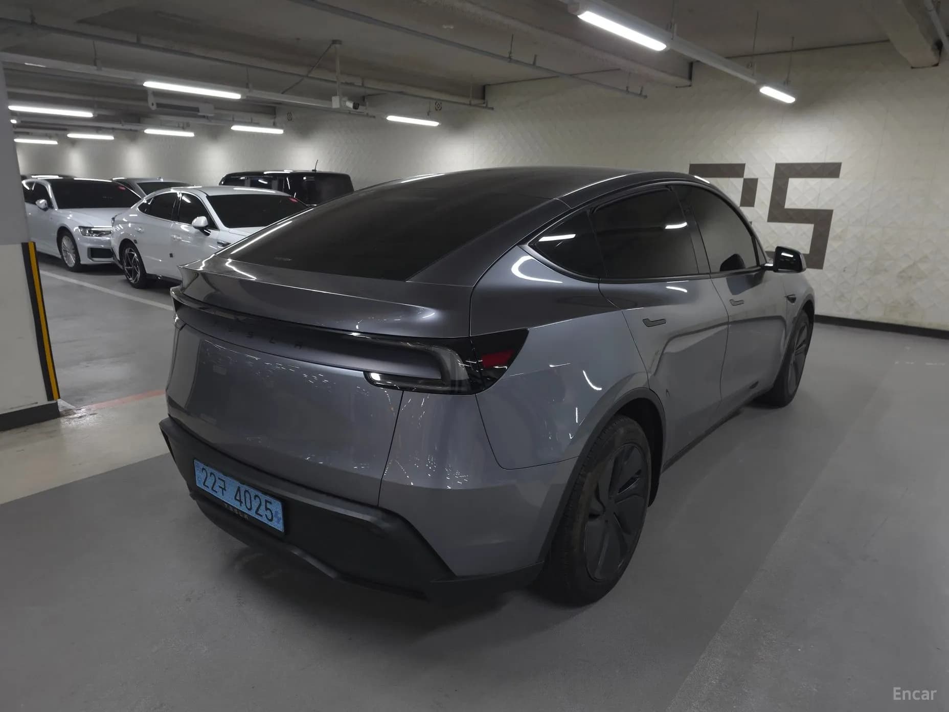 Model Y