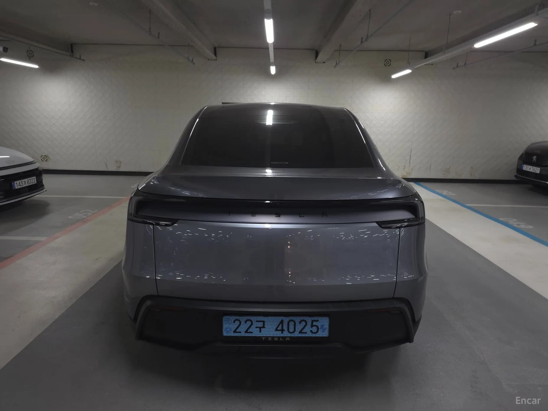 Model Y