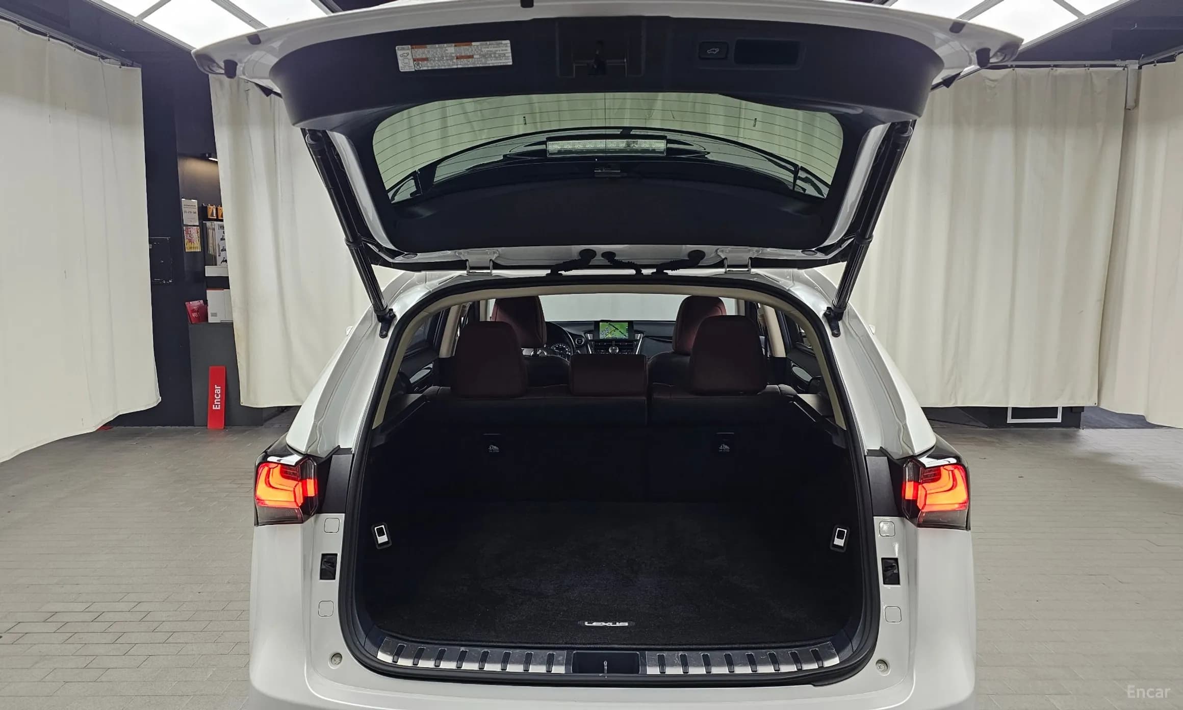 NX300h