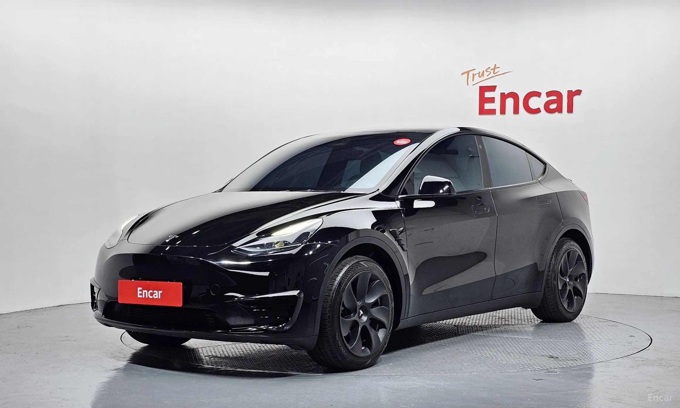 Model Y