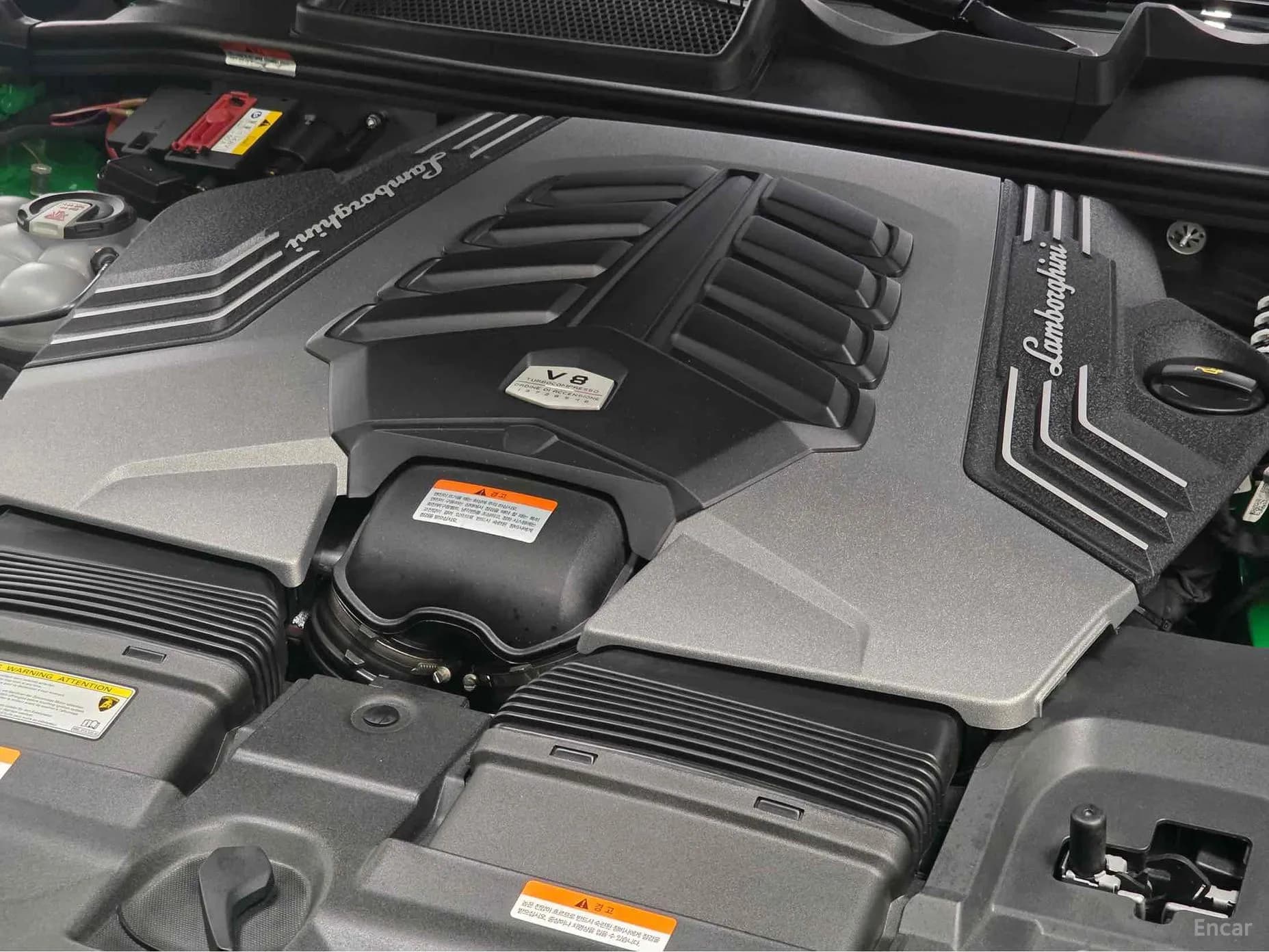 Urus