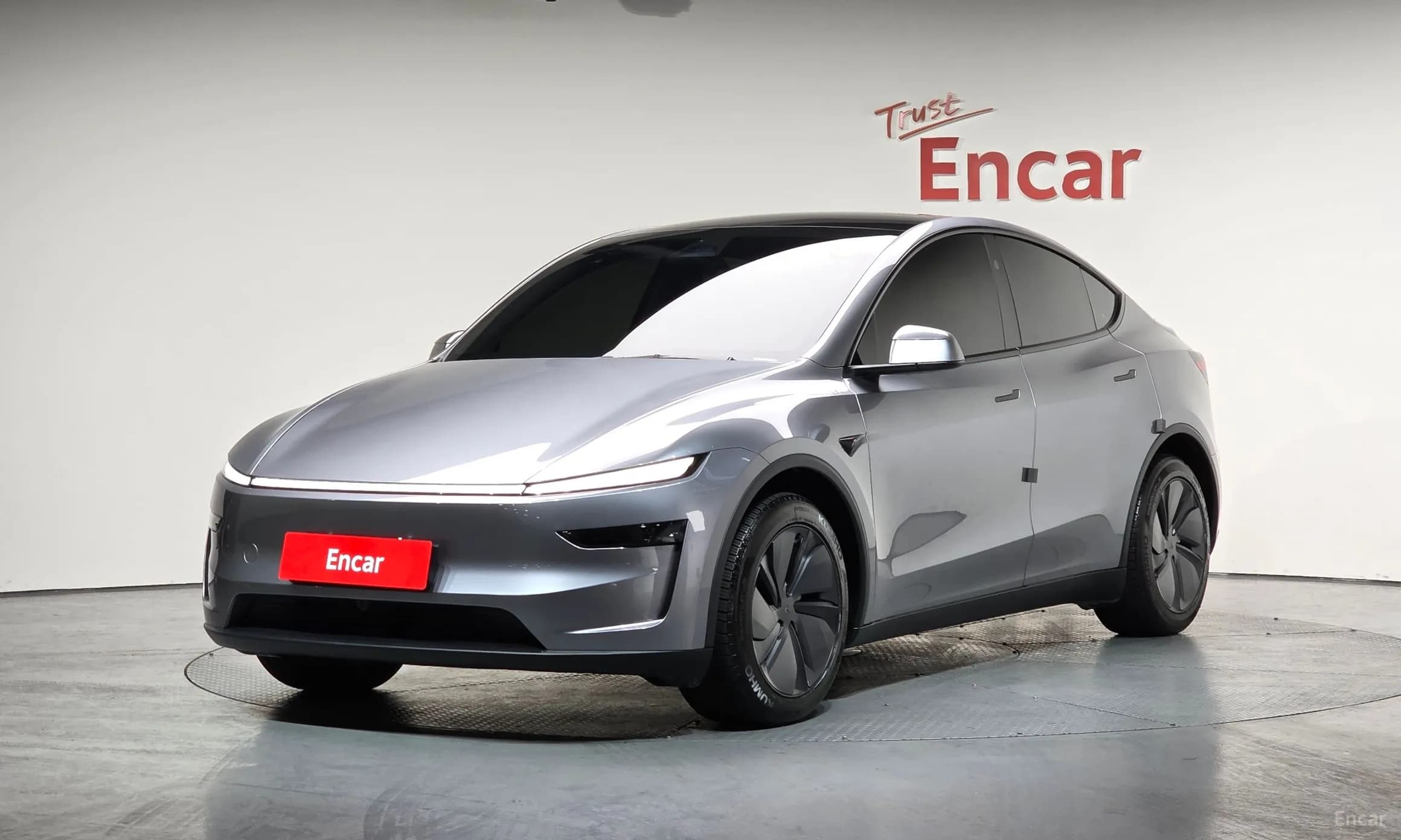 Model Y