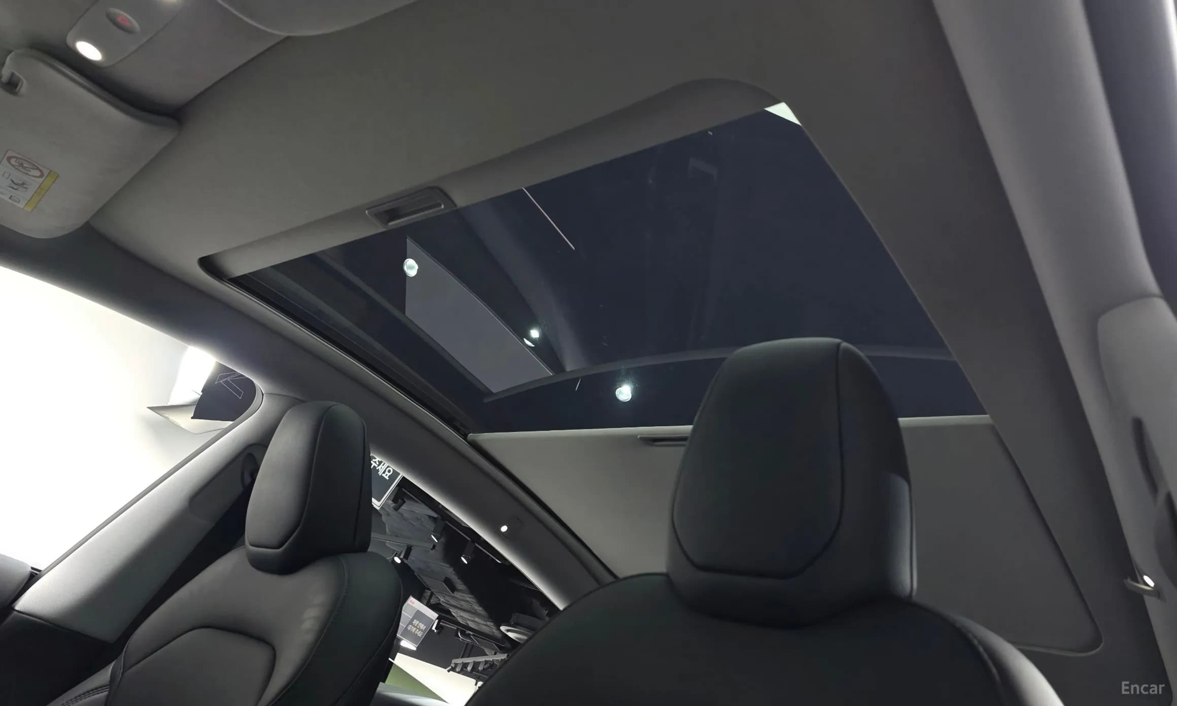 Model Y