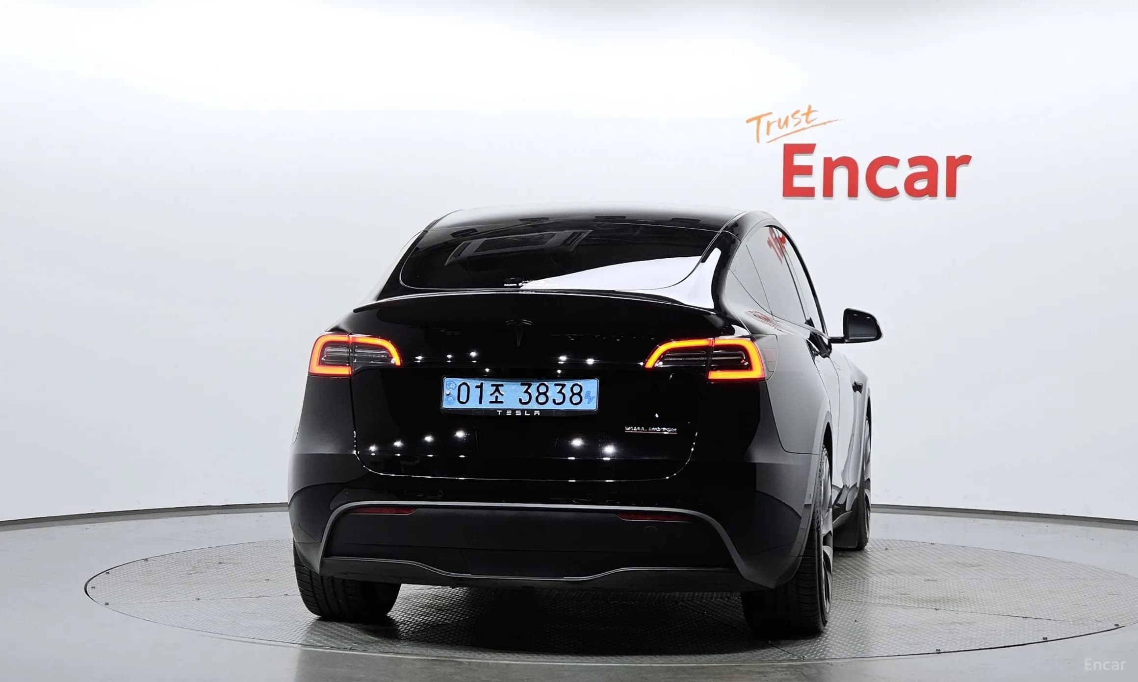 Model Y