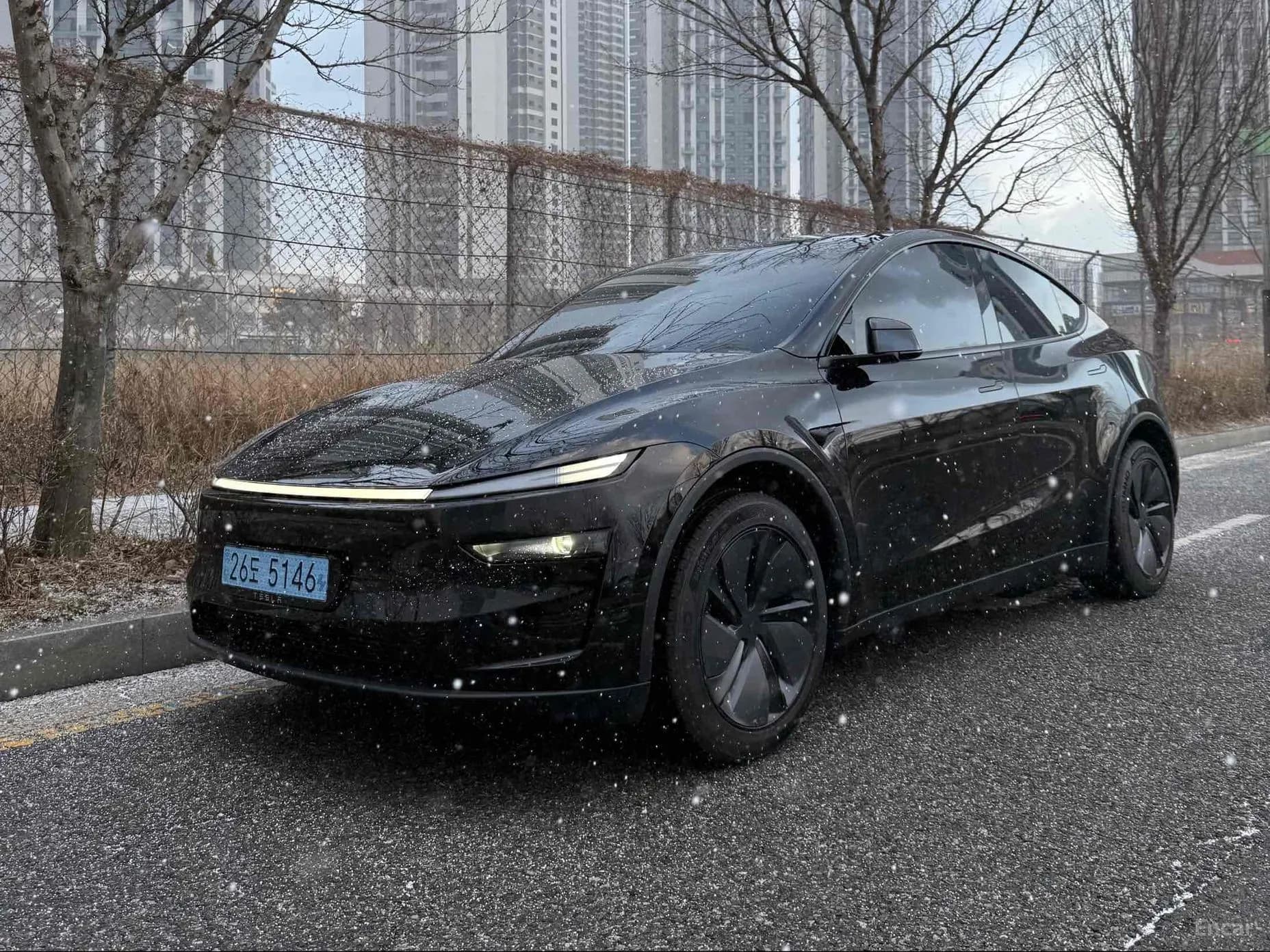 Model Y