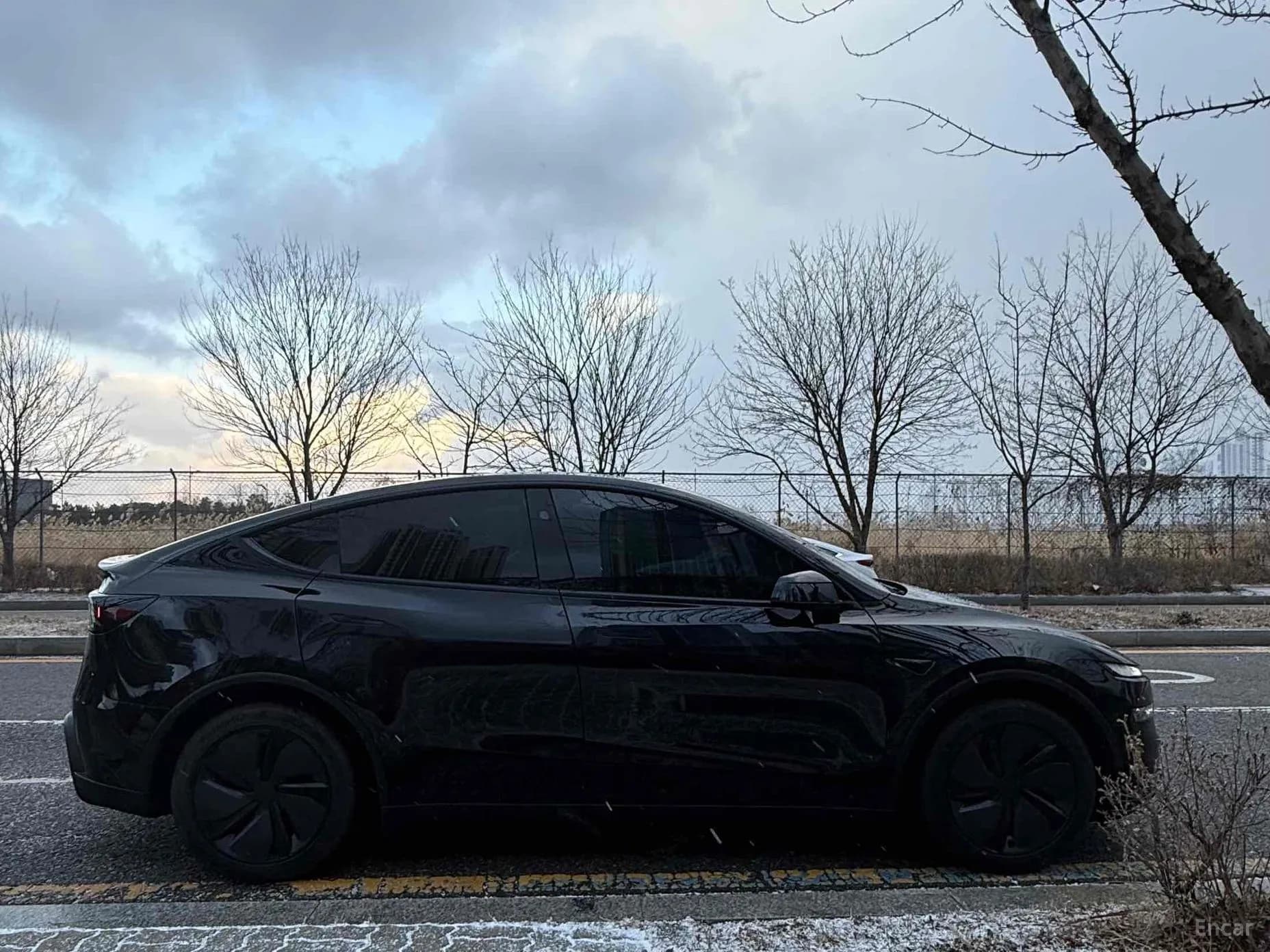 Model Y