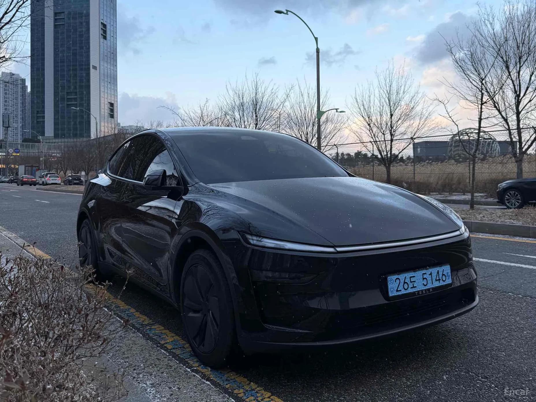 Model Y