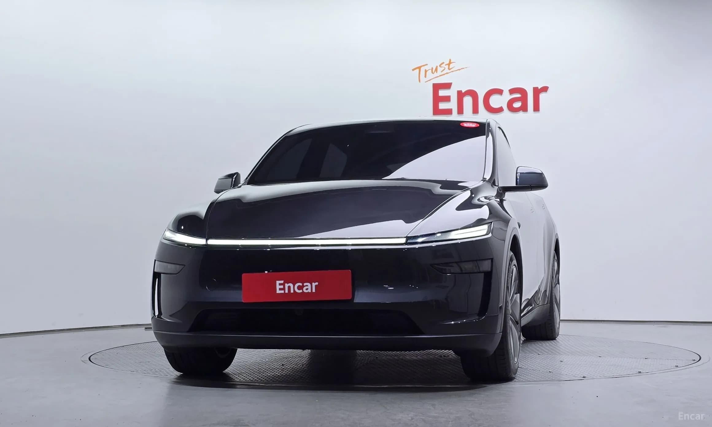 Model Y