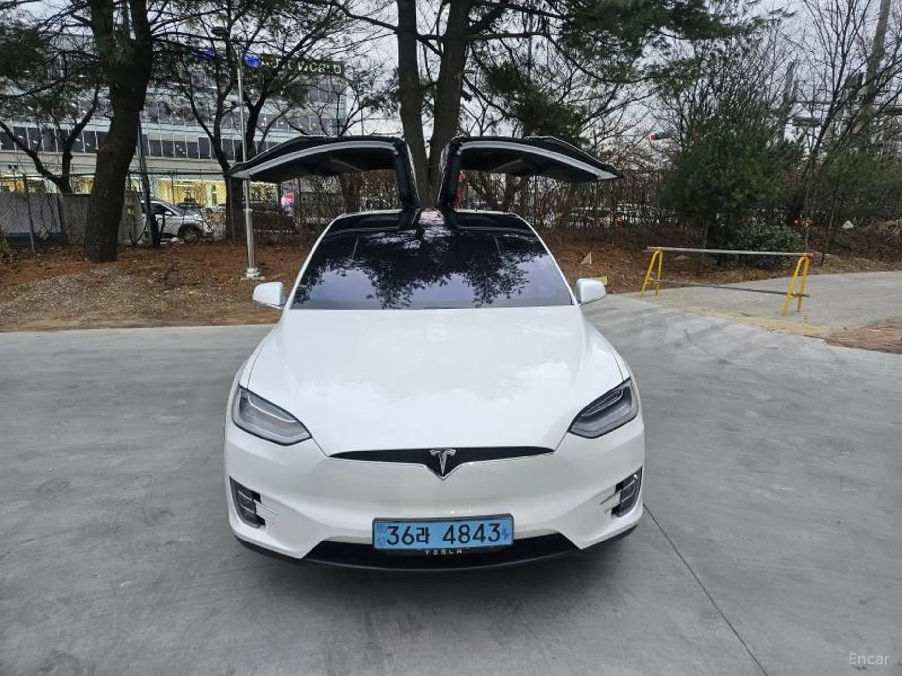 Model X