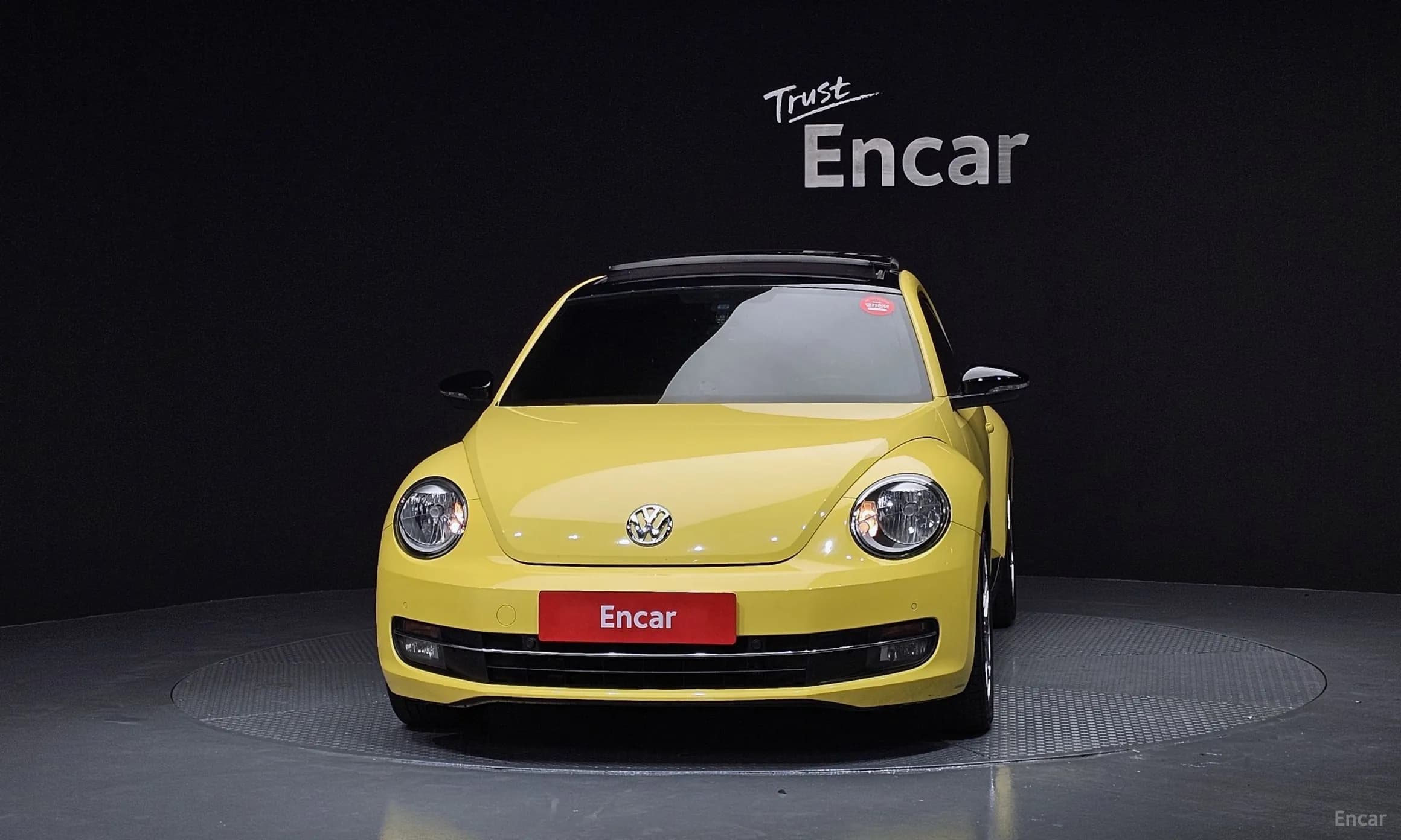 The Beetle