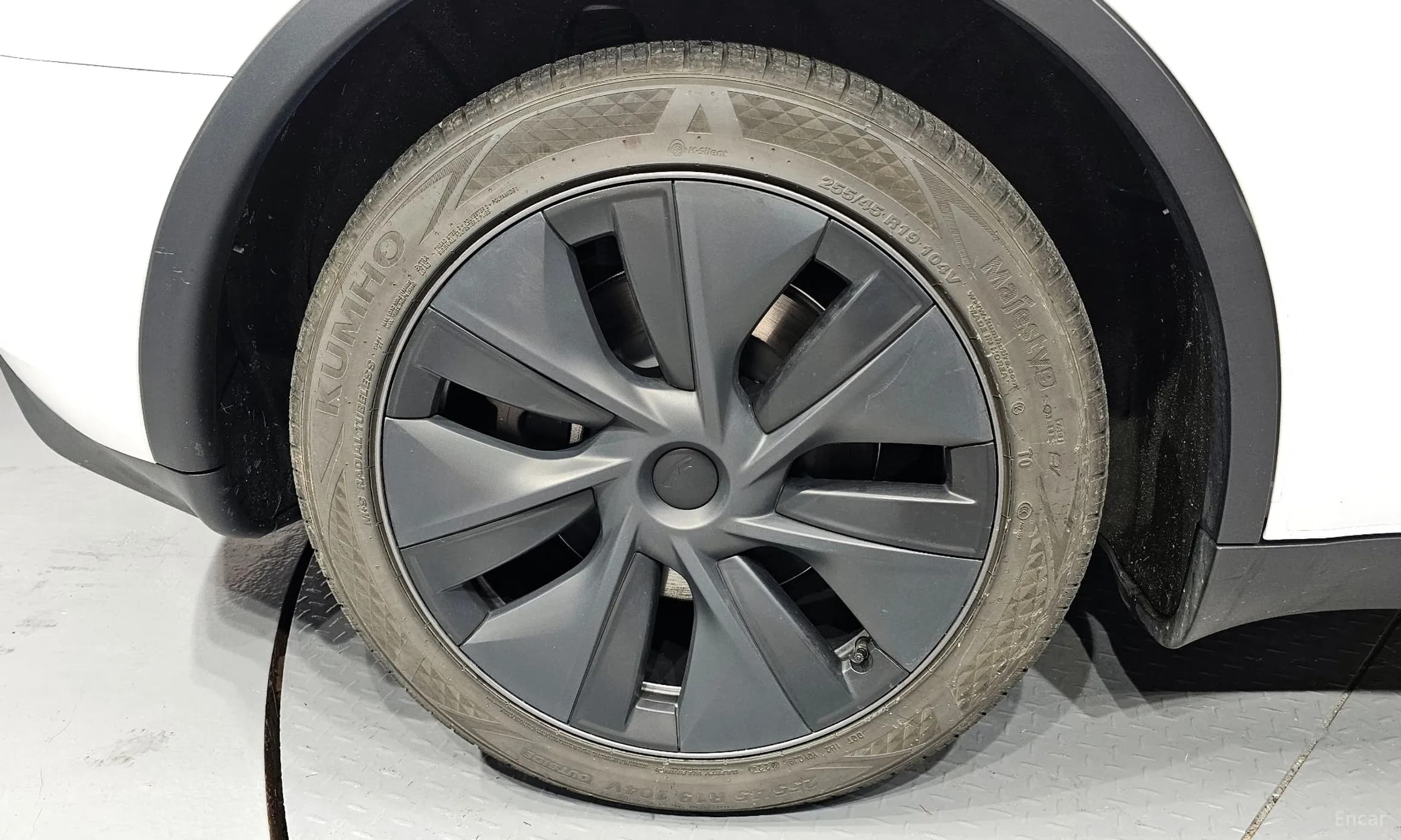Model Y