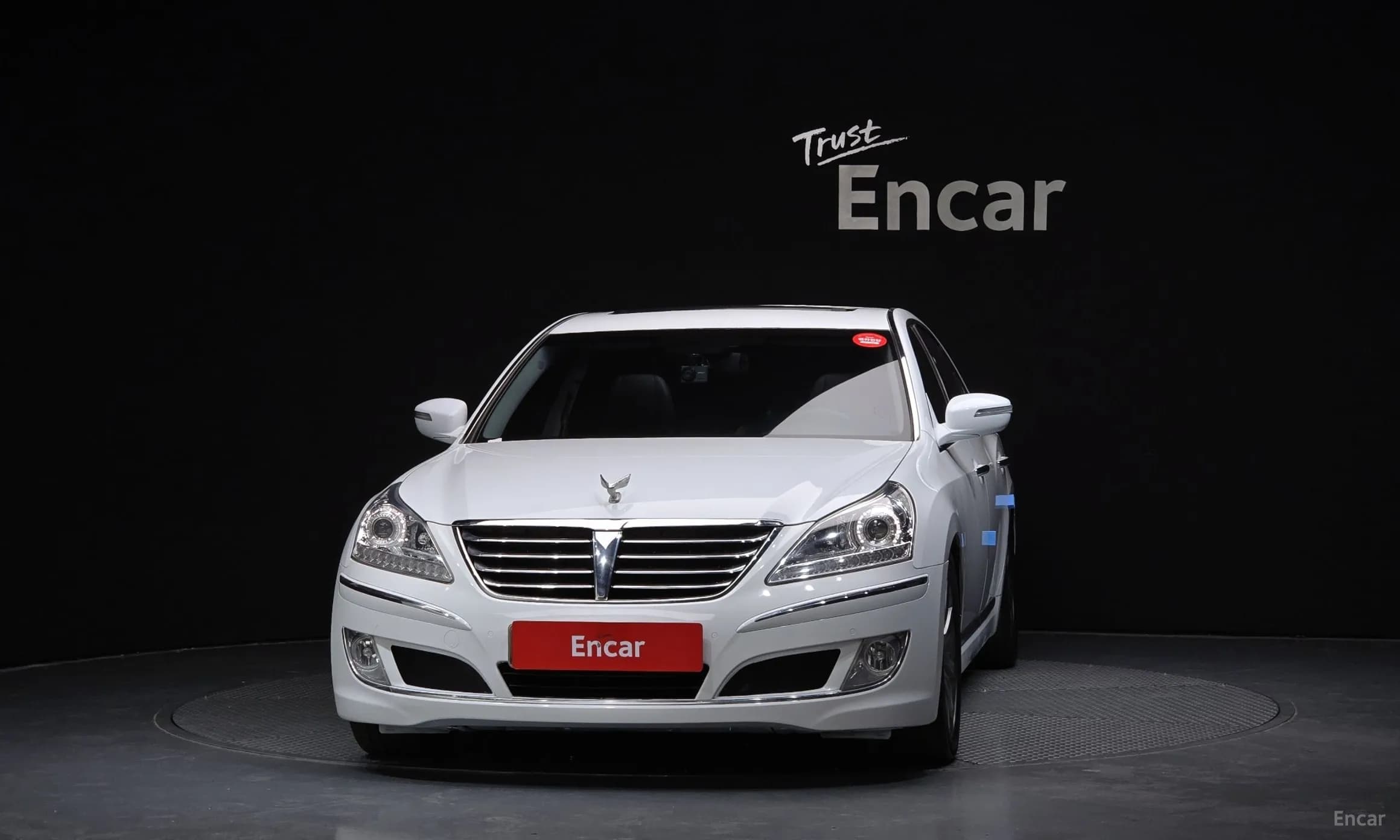 Equus (new)