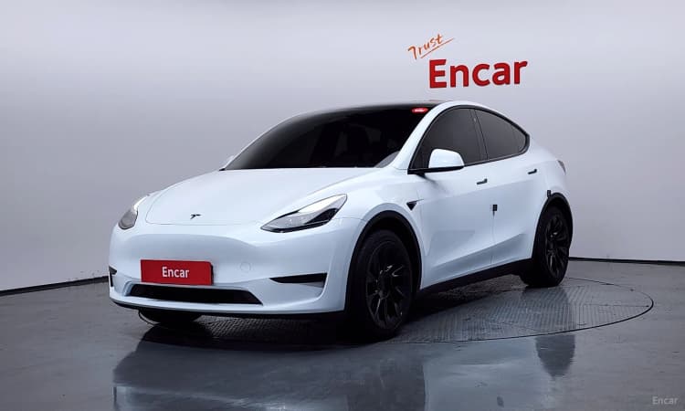 Model Y