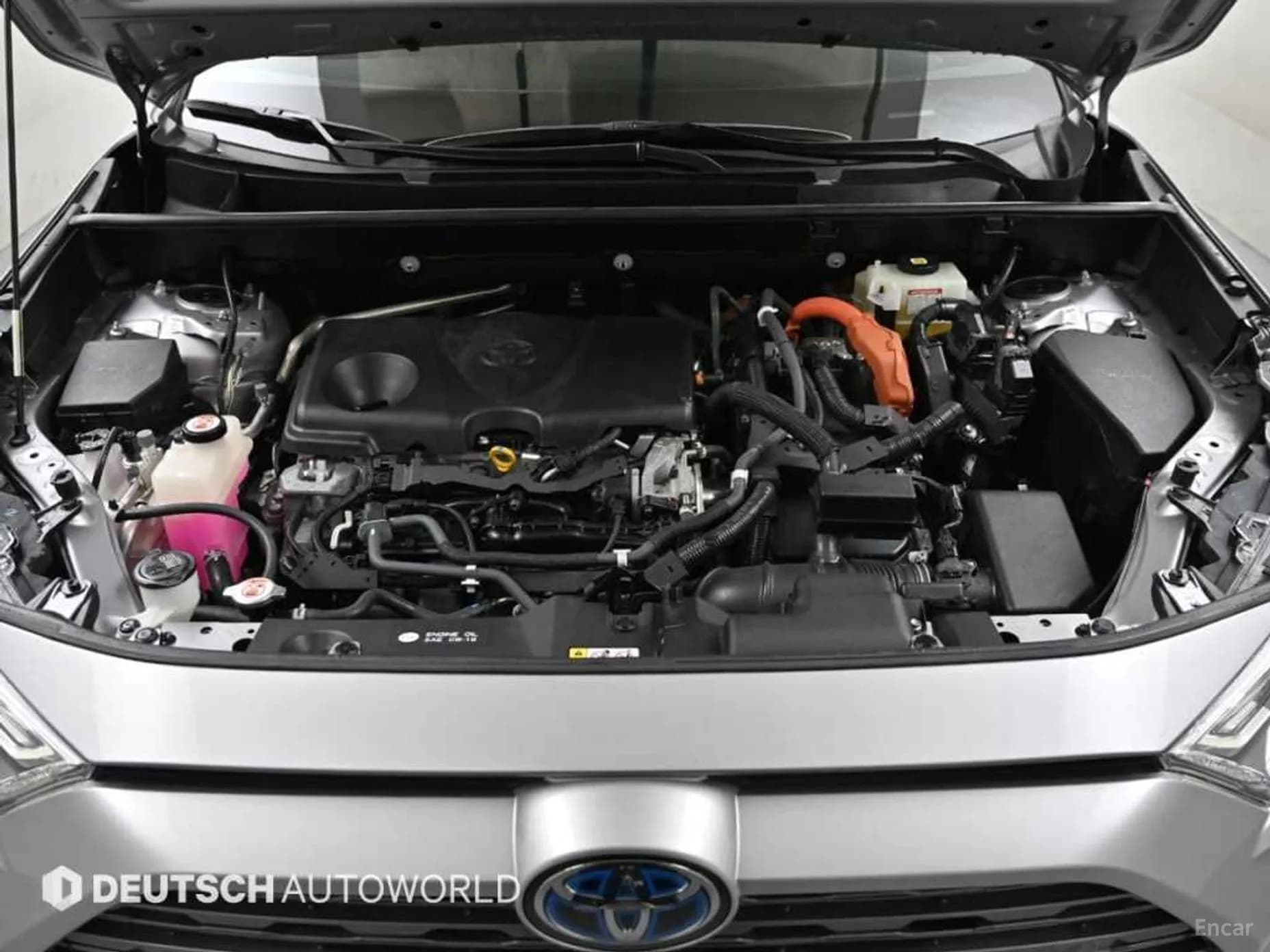 RAV4 5th Generation
