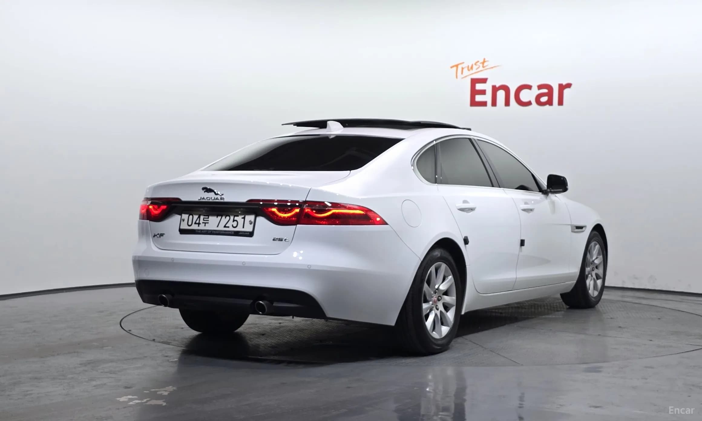 XF (x260)