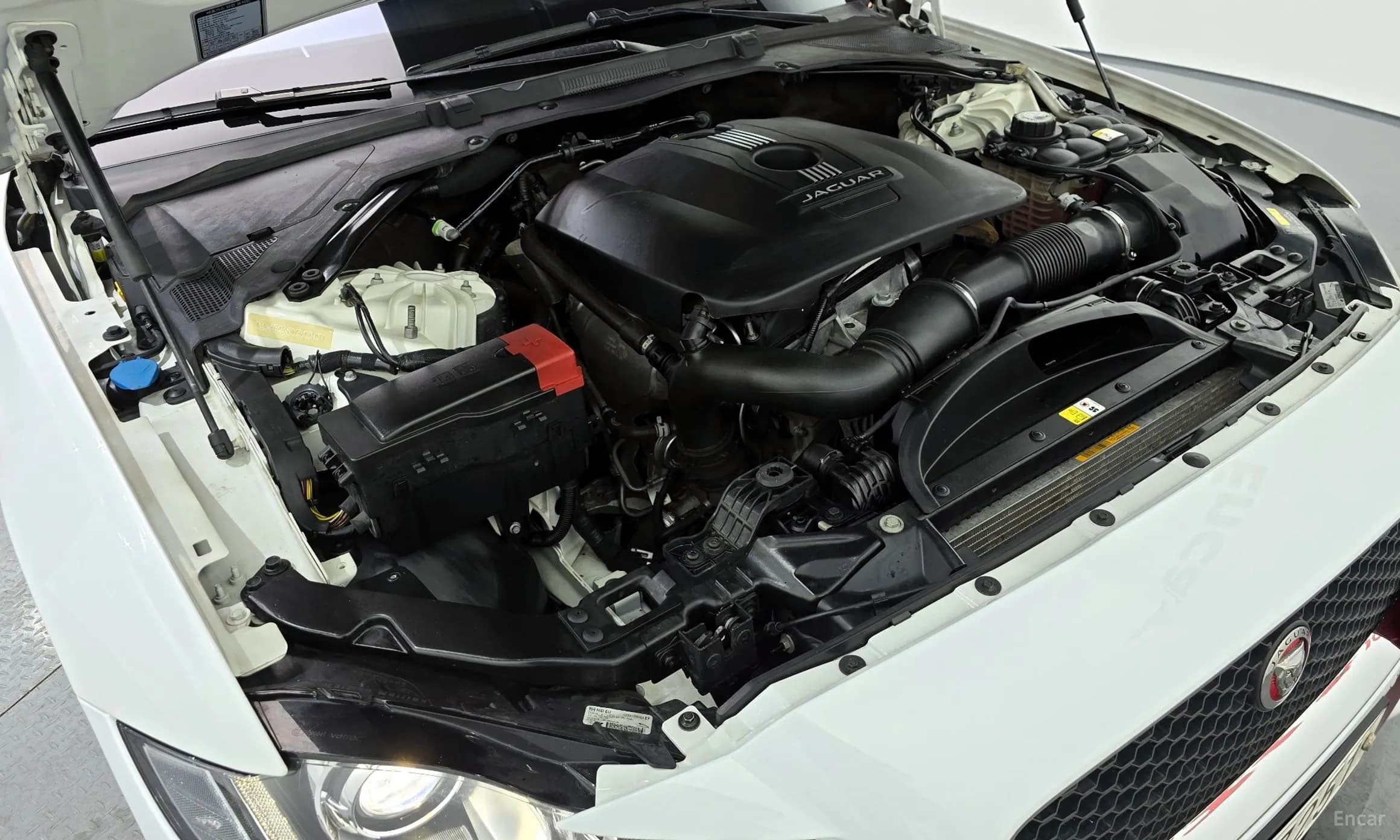 XF (x260)