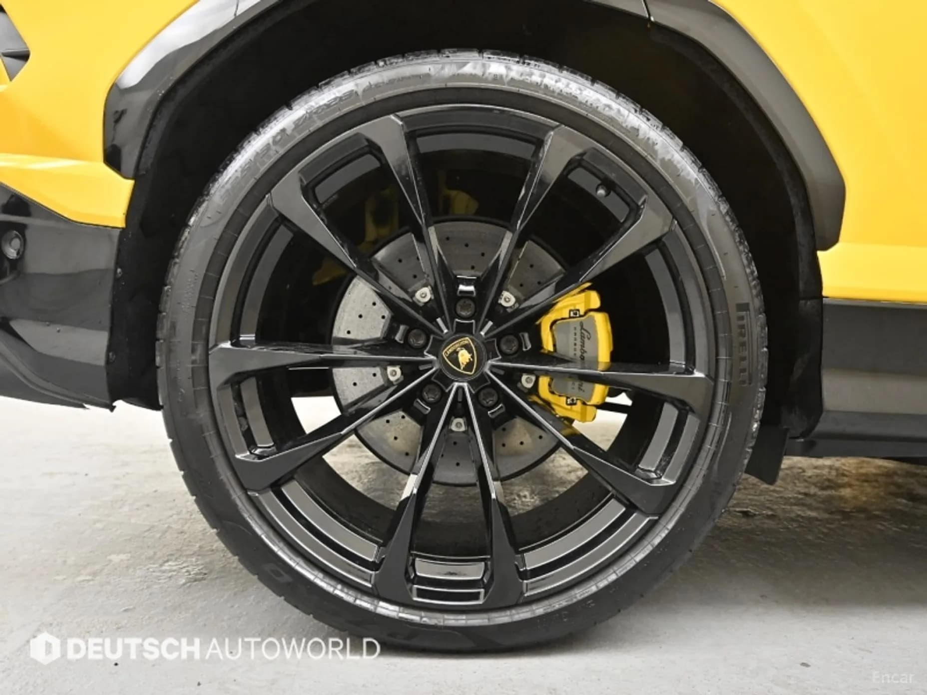 Urus