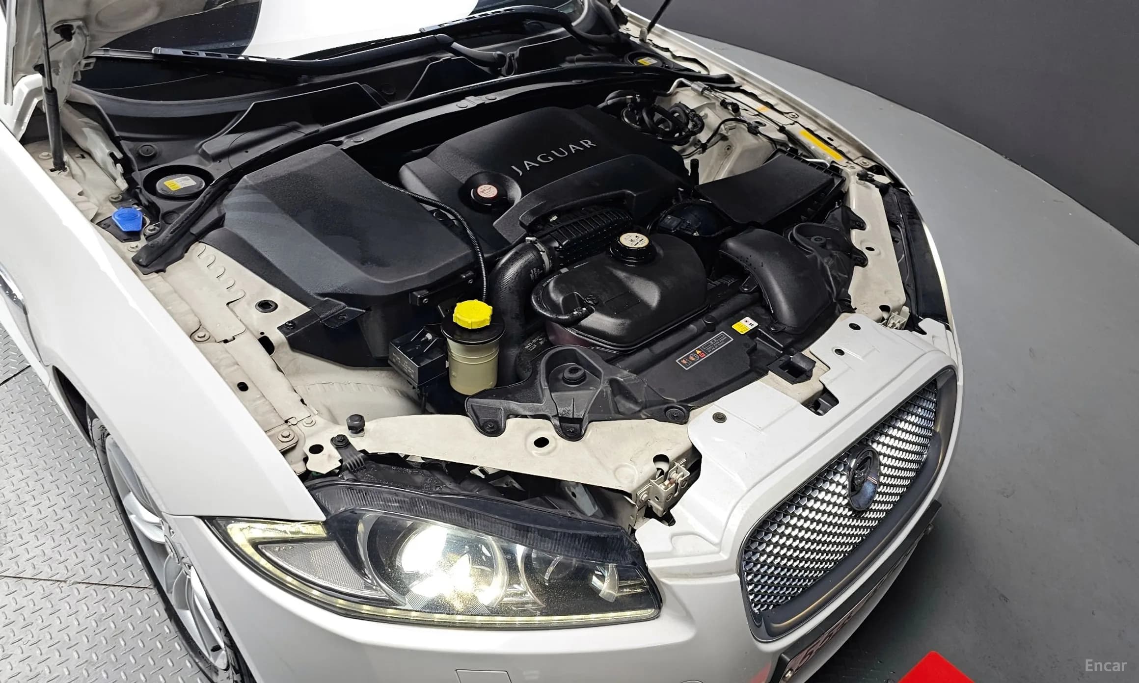 New XF