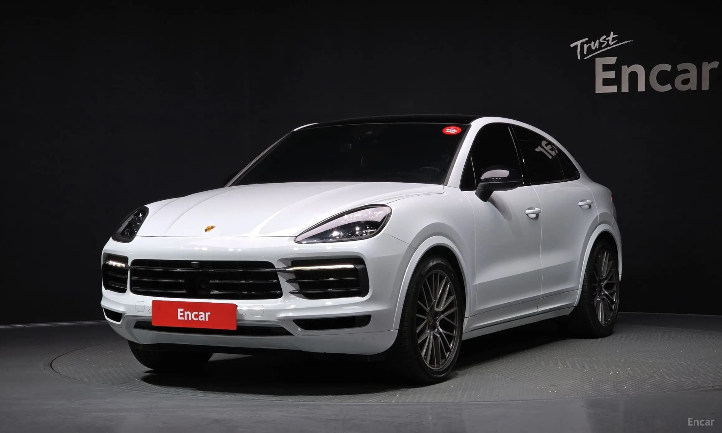 Cayenne (PO536)