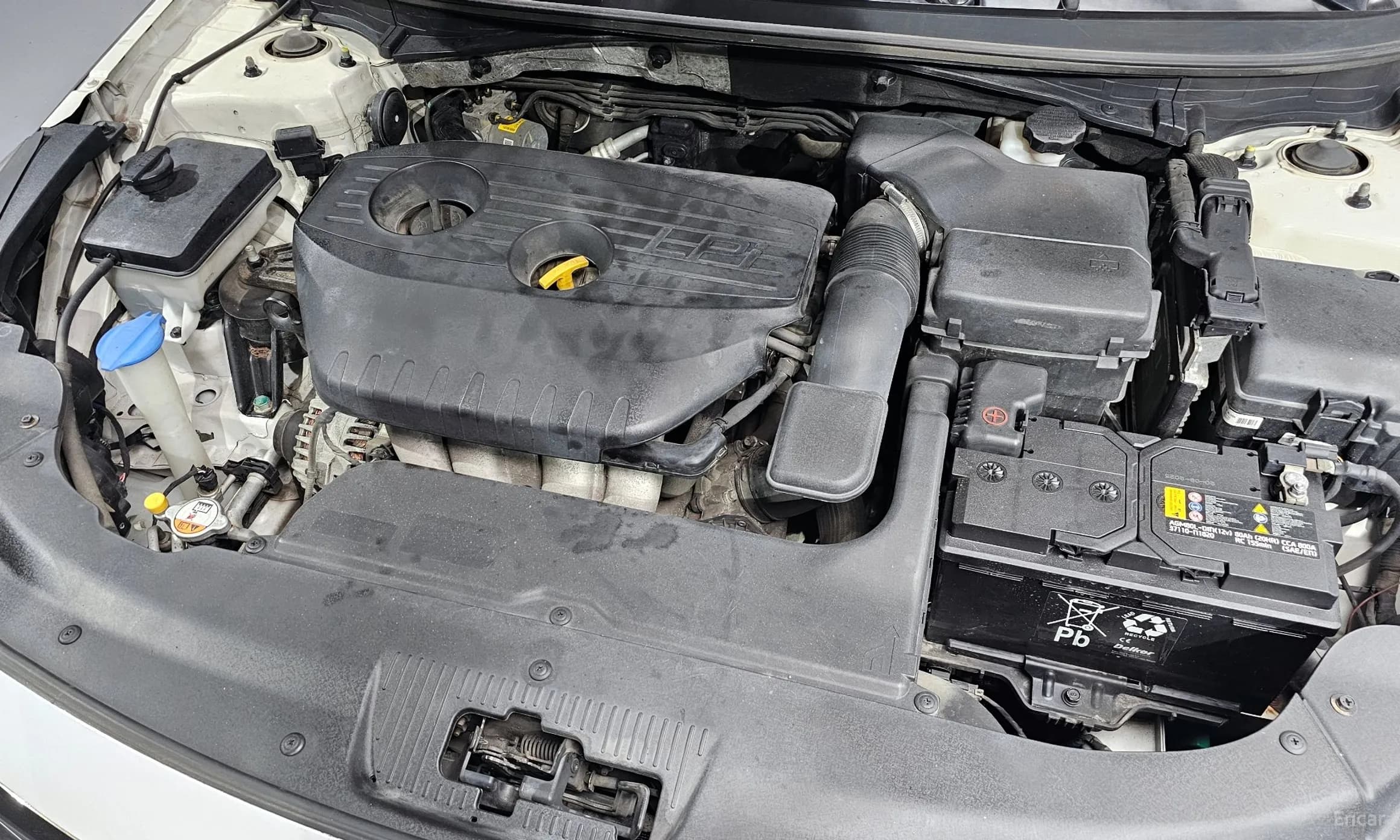 LF Sonata