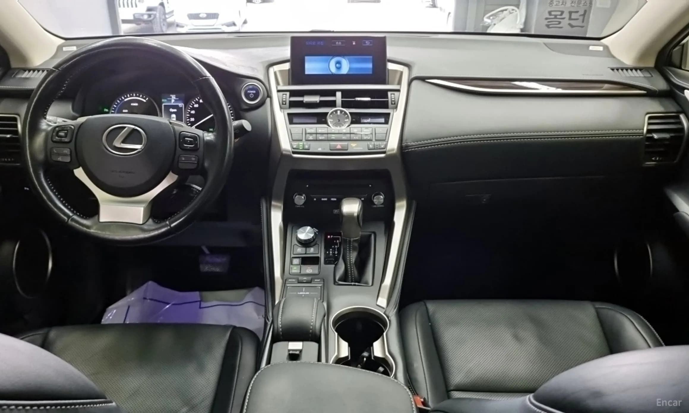 NX300h