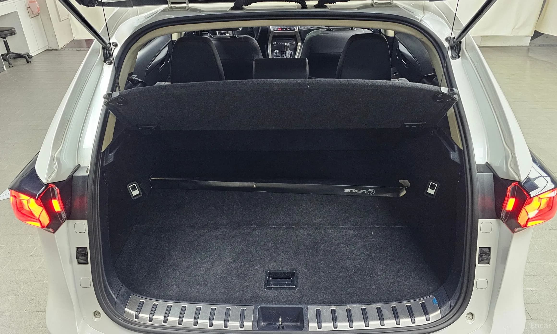 NX300h