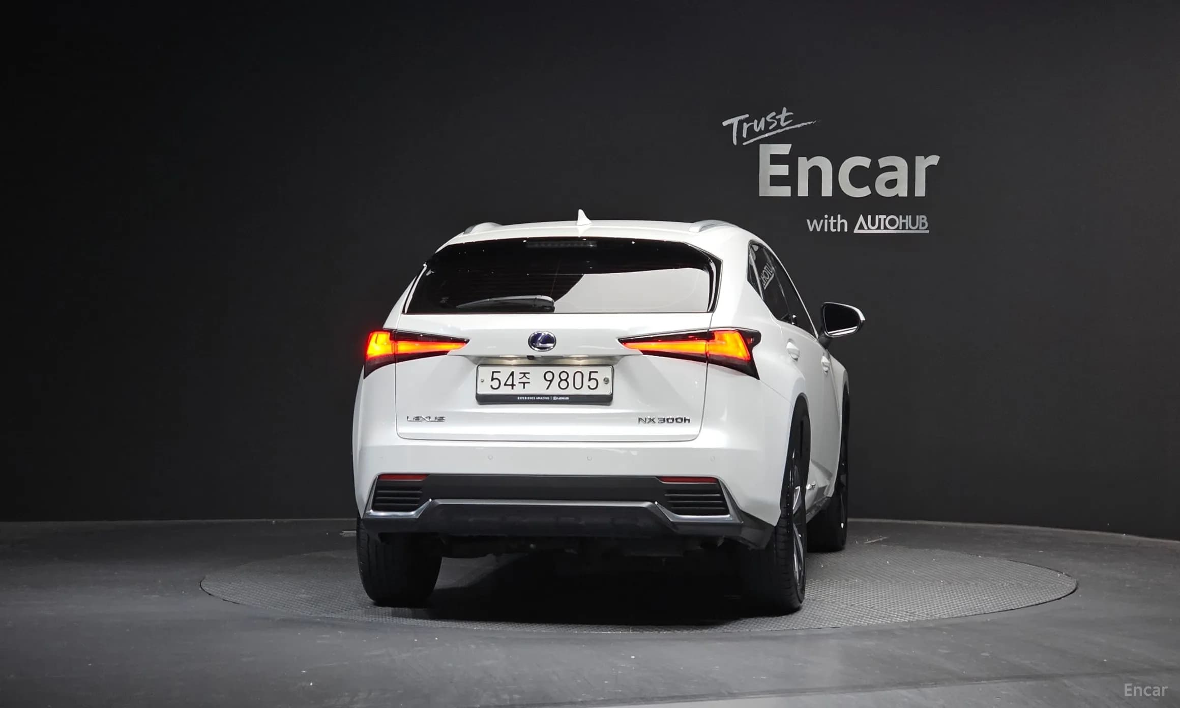 NX300h