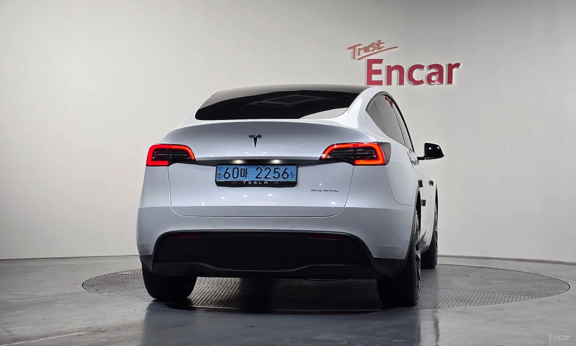 Model Y